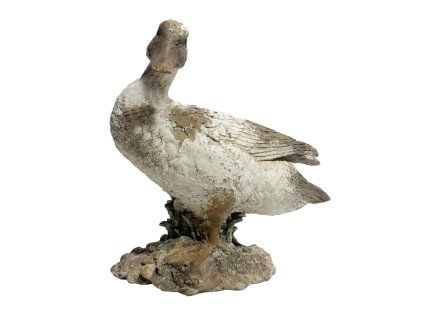 A39538