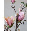 KVET MAGNÓLIE 87 CM CHIC ANTIQUE (39090507)